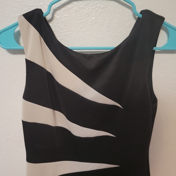 Elegant Black and Cream Sleeveless Dress - Picture 3 of 9